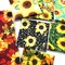 10 Pieces, Sunflower, 25x25cm,Quilting Fabric 100% Cotton Craft Fabric Bundle